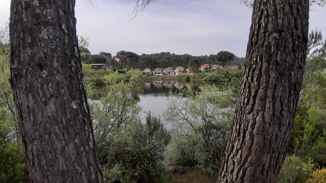 El Pinar Del Coto Villa Cordoba Dış mekan fotoğraf